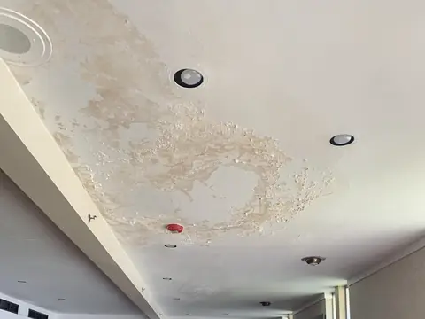 Water stains spreading across a ceiling