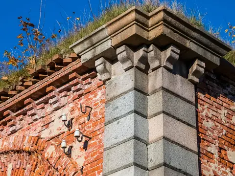 A brick parapet corner with a stone cornice, grass growing along its top